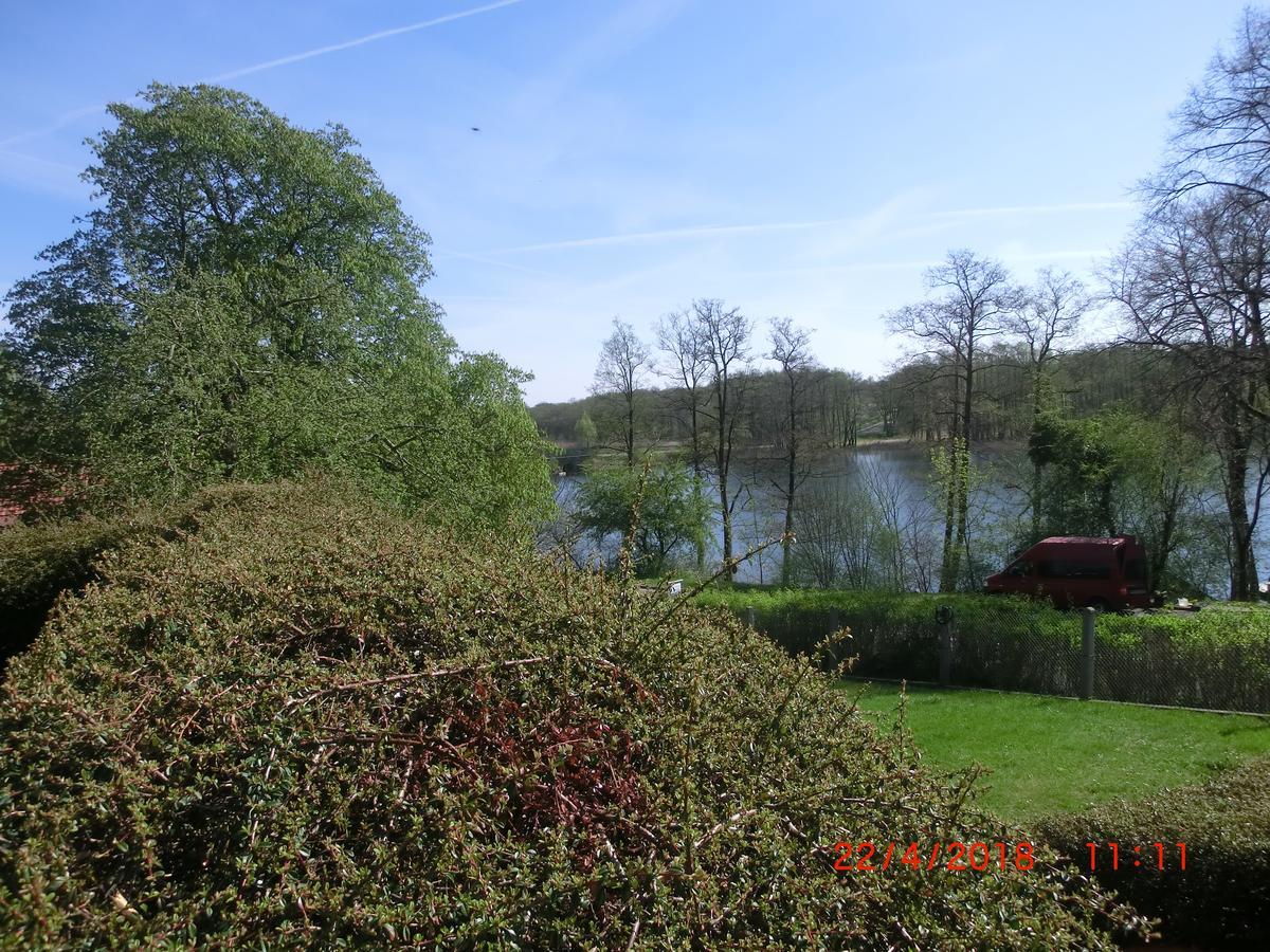 Ferienwohnung Luzinblick Feldberger Seenlandschaft Dış mekan fotoğraf